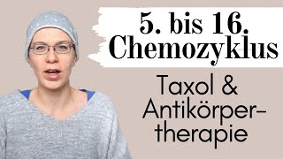 5 bis 16 Chemozyklus Taxol und Antikörpertherapie  Brustkrebs her2 positiv  Wyldest Life [upl. by Ahilam]