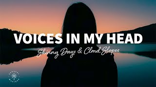 Skinny Days amp CLMD  Voices In My Head Lyrics ft Slopes [upl. by Barrie]