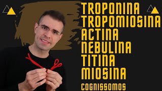 🙋‍♂️✊Actina Miosina Tropomiosina Troponina Titina [upl. by Terrell]