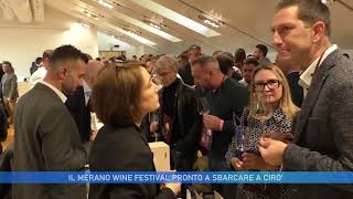 IL MERANO WINE FESTIVAL PRONTO A SBARCARE A CIRO [upl. by Eceinert979]