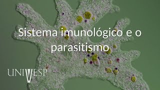 Parasitologia  Aula 03  Sistema imunológico e o parasitismo [upl. by Benn]