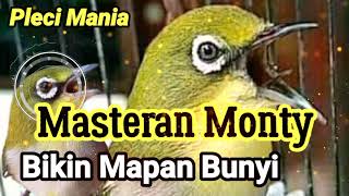 Pleci Monty Bìkin Gacor Dan mapan Bunyi [upl. by Ziom]