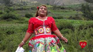 MAXIMA CEFERINO  2017  MIX VUELVE [upl. by Noret372]