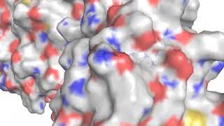 allosteric QM [upl. by Anirehtak]