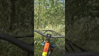 shorts 279  VTT MTB DH ENDURO RIDING [upl. by Lleznol]