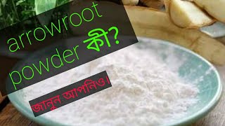 Arrowroot powder কীwhat is arrowroot powder Sids tube [upl. by Maxma]