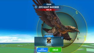 JURASSIC WORLD ALIVE  JEFE HAAST MAXIMUS [upl. by Yro913]