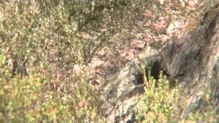 Aboriginal Rock Wells Maryborough Victoria [upl. by Nalhsa]