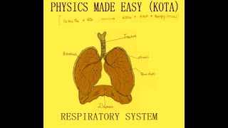 PARTII BIOLOGY HINDI NOTES RESPIRATORY SYSTEM LIVER DIGESTION ALEMENTRY CANAL FOR NEET  1 [upl. by Yelhs798]