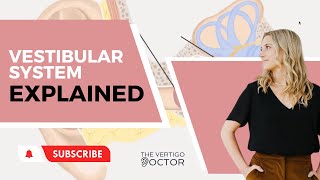 Vestibular System Explained  The Vertigo Doctor [upl. by Enilrae]