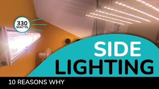 10 Reasons To Use Side Lights in Your Indoor Grow Room [upl. by Htiel]