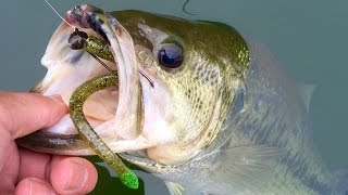 Jerkbaits to Finesse Fishing  Unlocking the Bass Pattern at Loch Raven Reservoir [upl. by Sevy]