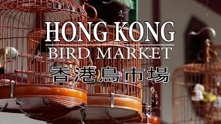 Hong Kong Bird Market [upl. by Elvina507]