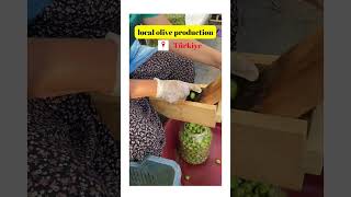 Local Olive Production funny laughoutloudanimals cat shorts keşfet shortvideo türkiye [upl. by Killy]