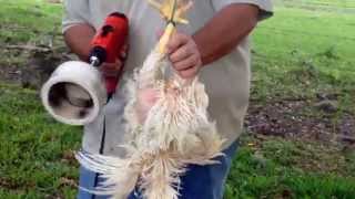 Homemade Drill Plucker for Chickens [upl. by Hareema]