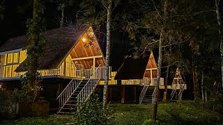 Budget stay in wayanad ☎️6235301060 For booking budgetresort wayanadresorts [upl. by Lebiram]