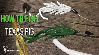 How to fish Texas rig  Underwater footage [upl. by Rolando]