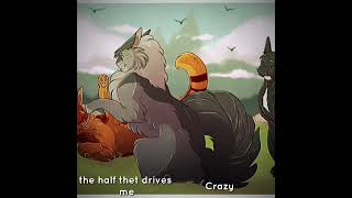 firepaw graypaw and ravenpaw edit [upl. by Eirrahs883]