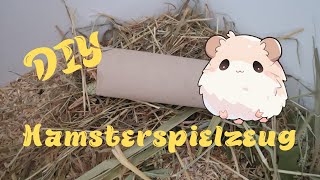 DIY  Hamsterspielzeug selber basteln 🐹 [upl. by Dolf813]