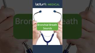 🫁 Bronchial Breath Sounds Key Auscultation Insights 💨 usmlestep usmle [upl. by Odlonra743]