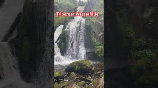 Triberger Wasserfälle [upl. by Yniffit]