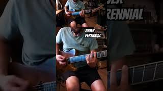 Jinjer  Perennial  guitar cover guitarcover metal metalcover [upl. by Nesral]