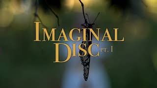 Torin Frost X Lauren Santi  Introducing Imaginal Disc ptI OFFICAL VISUAL [upl. by Survance]