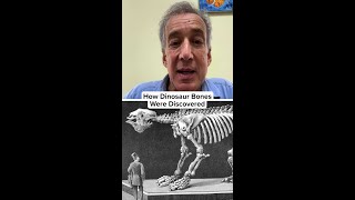 Unveiling Giants Edward Dolnick on the First Dinosaur Discoveries [upl. by Noicpecnoc]