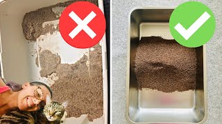 Cat litter box hacks that will save your life [upl. by Carrick]