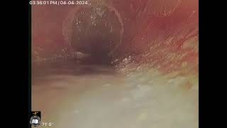 Haxtun Avenue Orange NJ  Sewer inspection video [upl. by Dnarud88]