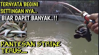 LANGSUNG TEST MANCING LELE PAKAI CARA INI DAPAT BANYAK BANGET  DASARAN VS GANTUNG [upl. by Mcquillin616]