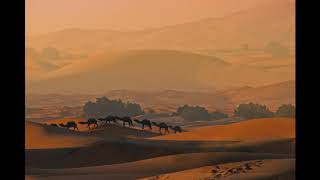 Merzouga Morgenwanderung Wüste Dünenlandschaft Erg Chebbiin مرزوقة Spuren im Sand [upl. by Iyre882]