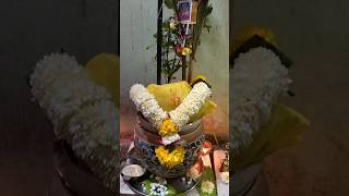 Tulsi Vivahtulsivivahtulsitraditional marathi music weddingmangalashtakuniqueytshortsvideo [upl. by Medor]