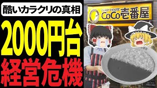 【大食い】ココイチでトッピング全部盛りしたらすごいことになった【coco壱番屋】 [upl. by Washburn216]