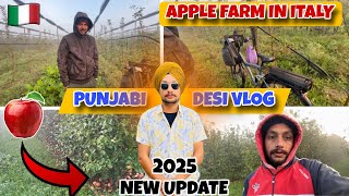 Punjabi desi vlog  🍏🍎Apple Farm in italy 🇮🇹  New update 2025  funnyvideo [upl. by Nafets]