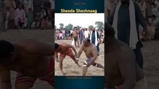 Sheshnaag Kabaddi match shorts youtubeshorts kabaddi [upl. by Aitital]