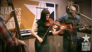 April Verch Band  Tennessee Wagoner Live at WAMUs Bluegrass Country [upl. by Maison]