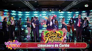 Cara Tropical  Limosnero de Cariño Video Oficial [upl. by Attlee272]