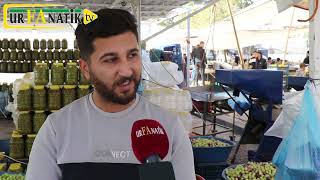 Şanlıurfa’da zeytin fiyatları belli oldu [upl. by Eilyak]