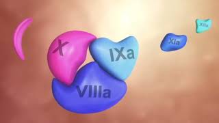 Coagulation Cascade [upl. by Crescentia931]