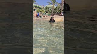 Aquaventure Waterpark dubai 2024 [upl. by Lita521]