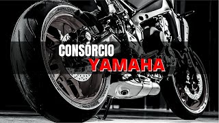 Consórcio Yamaha como funciona [upl. by Royo]