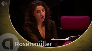 Rosenmüller  Gli Angeli Genève  Festival Oude Muziek Utrecht 2016  Live Concert HD [upl. by Ahsinauq]