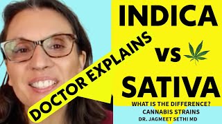 Indica vs Sativa vs Hybrid in Cannabis [upl. by Bortman]