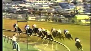 110th Preakness Stakes  May 18 1985 [upl. by Melesa411]