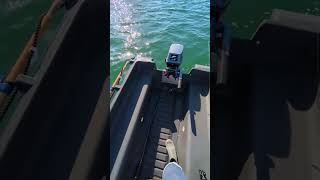 whaly 270  Yamaha 8hp 2 stroke fishing [upl. by Meid131]