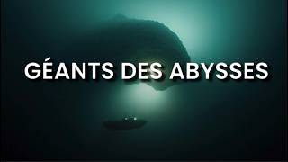 LE GIGANTISME des Abysses pourquoi les grands fonds engendrent des géants [upl. by Cordey812]