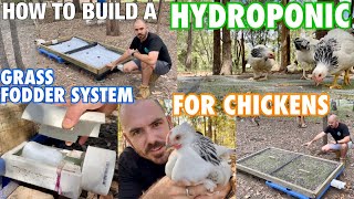 How to Build a Hydroponic Grass Fodder System for Chickens [upl. by Notnilk]