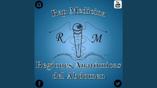 Regiones Anatómicas Del Abdomen [upl. by Loutitia]