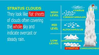 types of clouds [upl. by Brear890]